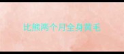 比熊两个月全身黄毛