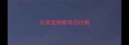 天津宠物寄养店价格