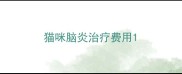 猫咪脑炎治疗费用