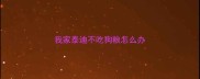 我家泰迪不吃狗粮怎么办