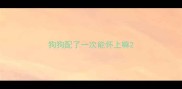 狗狗配了一次能怀上嘛