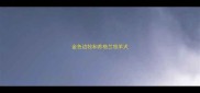 金色边牧和苏格兰牧羊犬