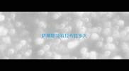 萨摩耶没有拉布拉多大