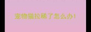 宠物猫拉稀了怎么办