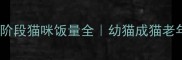 科学喂养指南不同阶段猫咪饭量全幼猫成猫老年猫怎么喂才健康