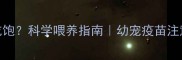 宠物打疫苗前必须吃饱科学喂养指南幼宠疫苗注意事项与饮食禁忌全