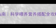 1岁金毛饮食指南科学喂养营养搭配全攻略附食谱