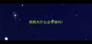 狗狗为什么会学狼叫