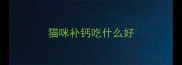 猫咪补钙吃什么好