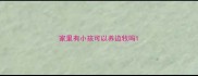家里有小孩可以养边牧吗