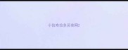 小拉布拉多买卖网