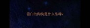 雪白的狗狗是什么品种