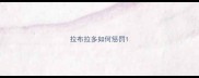 拉布拉多如何惩罚