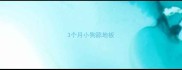 3个月小狗舔地板