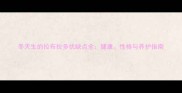 冬天生的拉布拉多优缺点全健康性格与养护指南