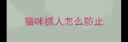 猫咪抓人怎么防止