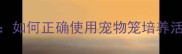 哈士奇笼养指南如何正确使用宠物笼培养活泼性格的冰山犬