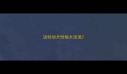 边牧幼犬性格太活泼