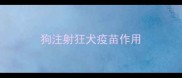 狗注射狂犬疫苗作用