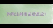 狗狗注射疫苗后反应