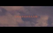 拉布拉多幼犬怎么出售