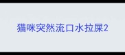 猫咪突然流口水拉屎