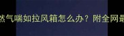 救命边牧突然气喘如拉风箱怎么办附全网最全护理指南