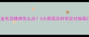 金毛没精神怎么办5大原因及科学应对指南