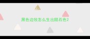 黑色边牧怎么生出陨石色