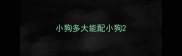 小狗多大能配小狗