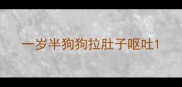 一岁半狗狗拉肚子呕吐