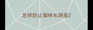 怎样防止猫咪长跳蚤