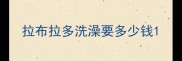 拉布拉多洗澡要多少钱