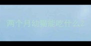 两个月幼猫能吃什么