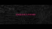 边牧适合在几月份训练