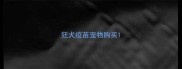 狂犬疫苗宠物购买