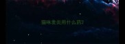 猫咪发炎用什么药