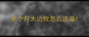半个月大边牧怎么洗澡