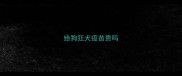 给狗狂犬疫苗贵吗