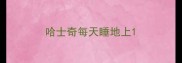 哈士奇每天睡地上