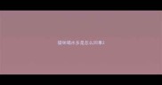 猫咪喝水多是怎么回事
