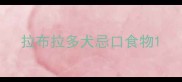 拉布拉多犬忌口食物