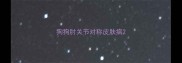 狗狗肘关节对称皮肤病