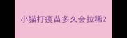 小猫打疫苗多久会拉稀