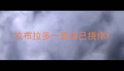 拉布拉多一直自己挠痒