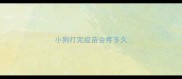 小狗打完疫苗会疼多久