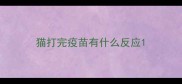 猫打完疫苗有什么反应