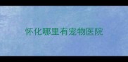 怀化哪里有宠物医院