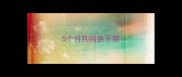 5个月狗狗换牙期