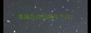 泰迪怎么判断几个月